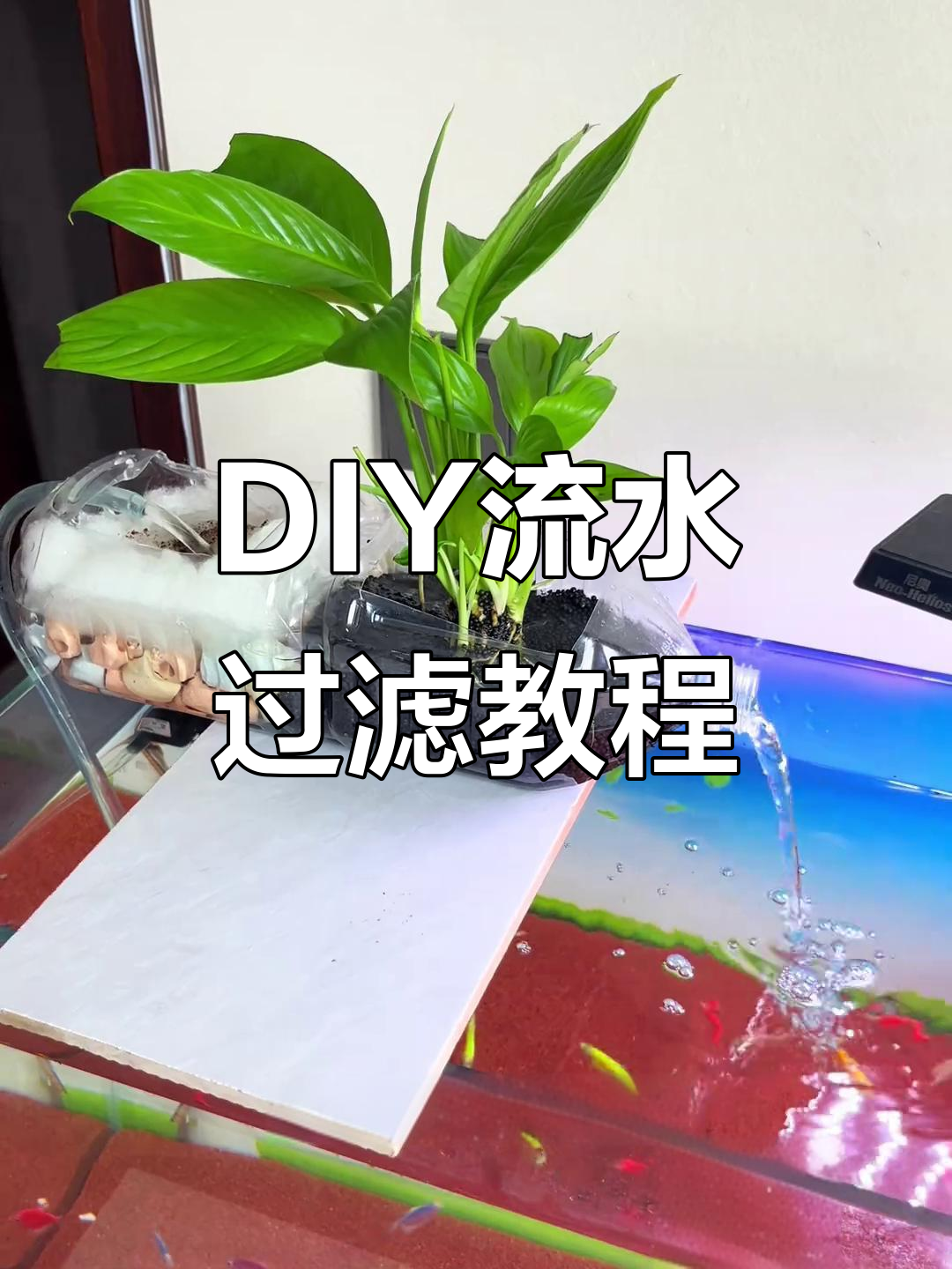 自制水循环过滤器，打造鱼缸生态小系统