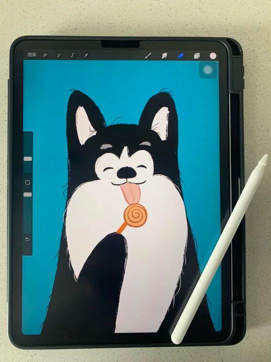 Procreate绘画教程|超简单的卡通狗狗头像