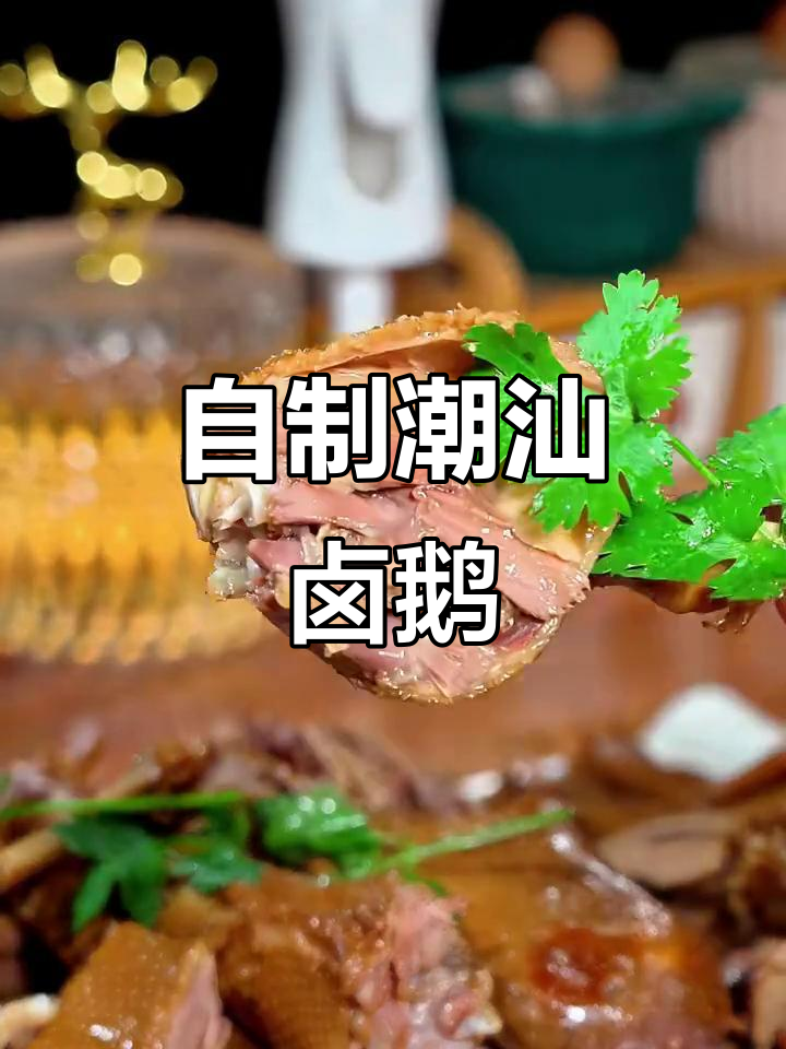 潮汕卤鹅轻松做,家庭版正宗美味