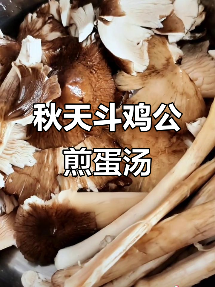 秋季限定斗鸡公煎蛋汤,鲜美无比的山珍美味