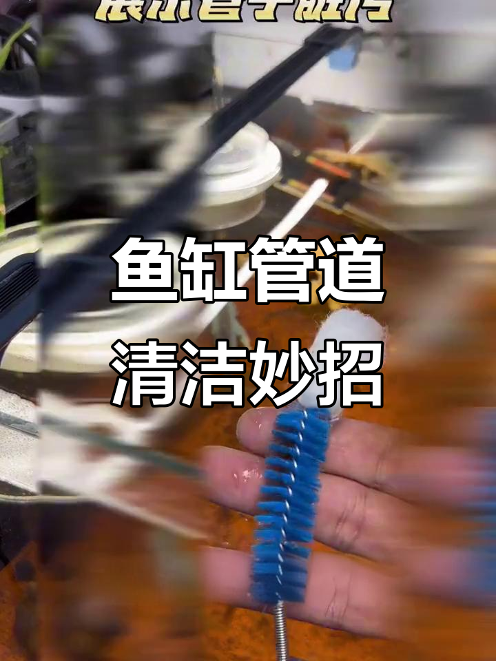 鱼缸管路脏了?这样清洗轻松去污