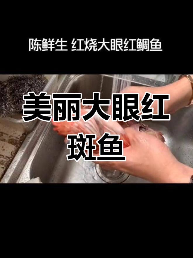 大眼红斑鱼的独特魅力