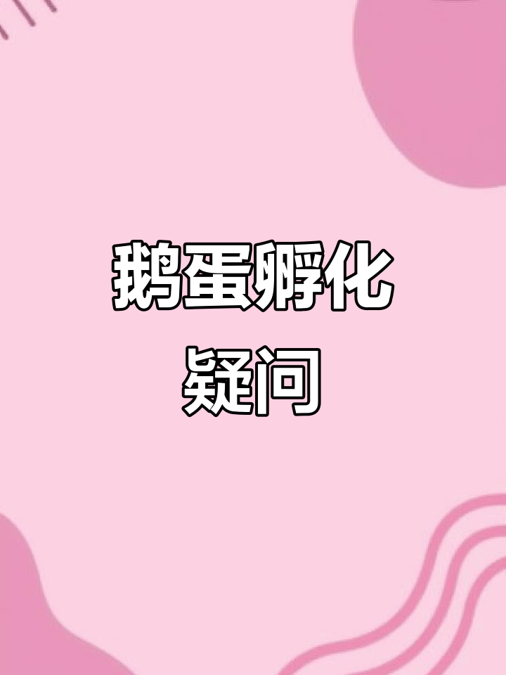 鹅蛋孵化10天,一半黑一半透明,正常吗?