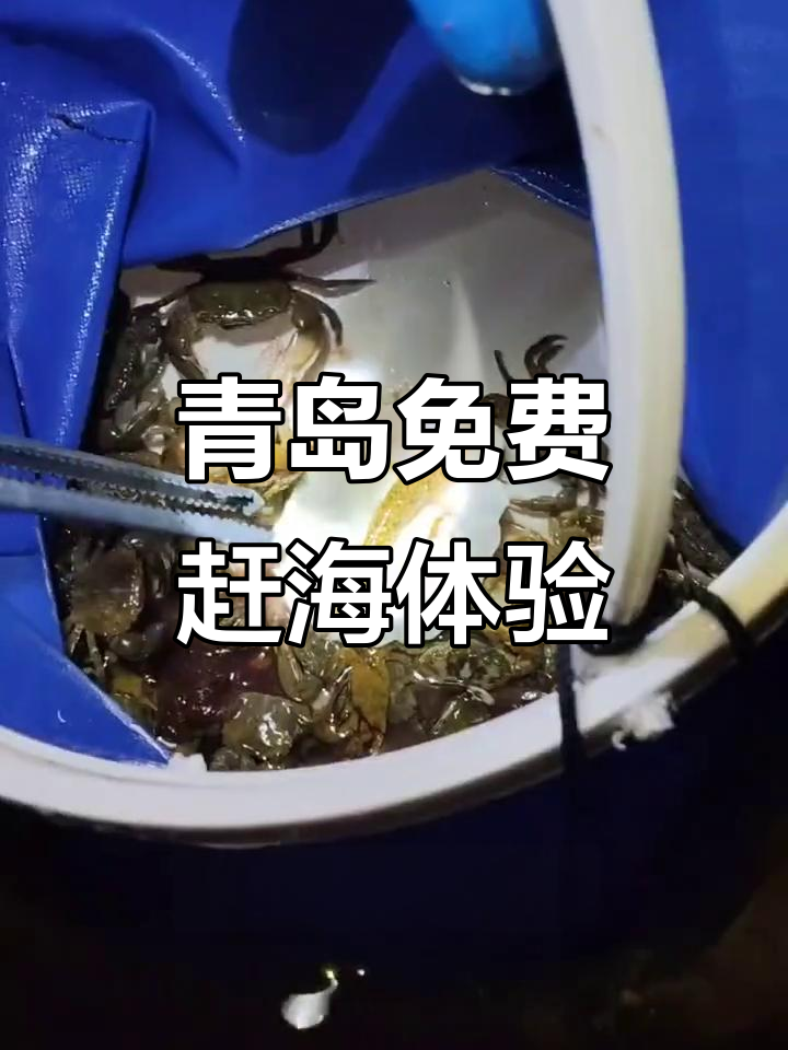 青岛免费赶海,抓螃蟹小鱼送礼品