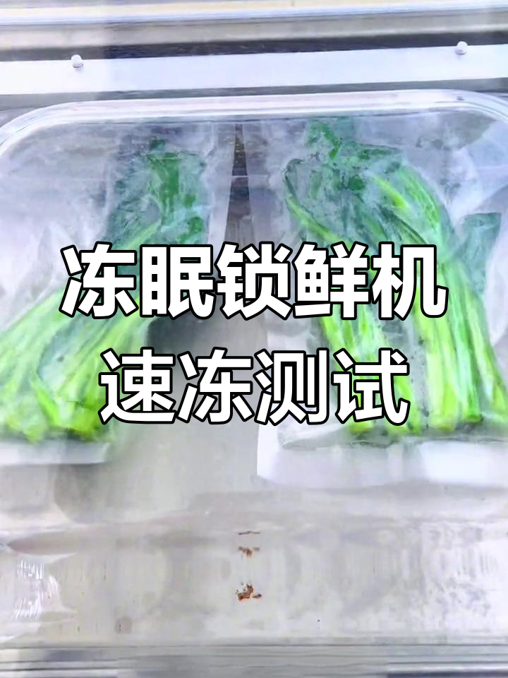 冻眠锁鲜机速冻蔬菜实验:快速冷冻效果惊人