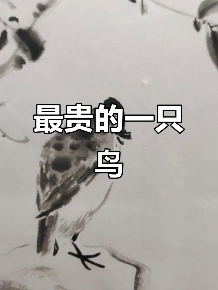 八大山人画史上最贵鸟,白眼示人不屑一顾