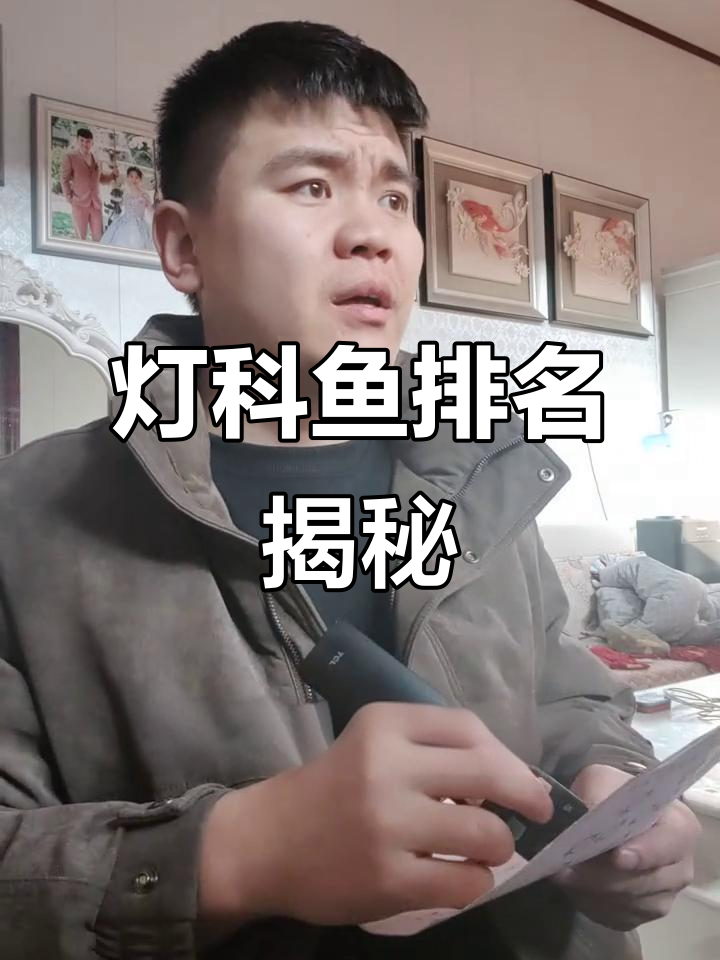 灯科鱼大比拼,哪些值得入手?