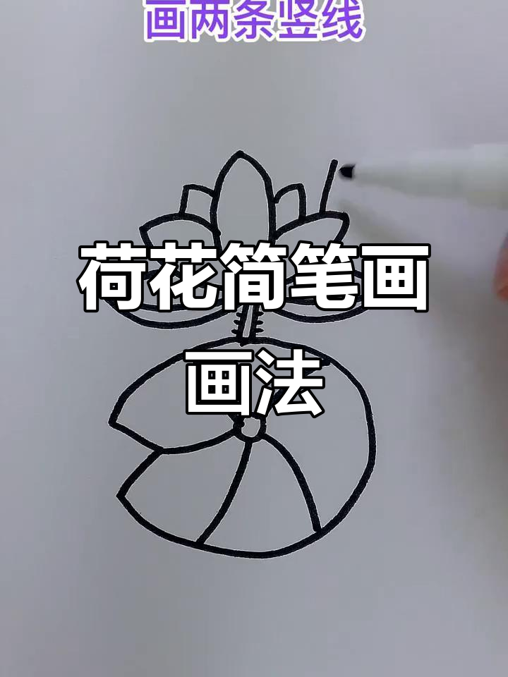 荷花简笔画,老少皆宜,轻松上手!