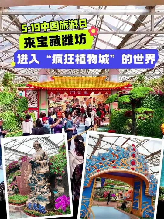 来宝藏潍坊,打卡第二十七届中国(寿光)国际蔬菜科技博览会,看中国农业的未来模样