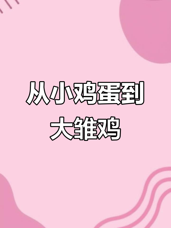 小鸡仔出生,变化惊人!从蛋到小鸡的成长过程