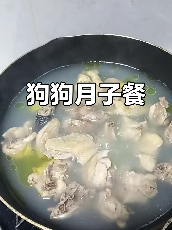 狗妈妈坐月子,鸡肉炖汤补充营养