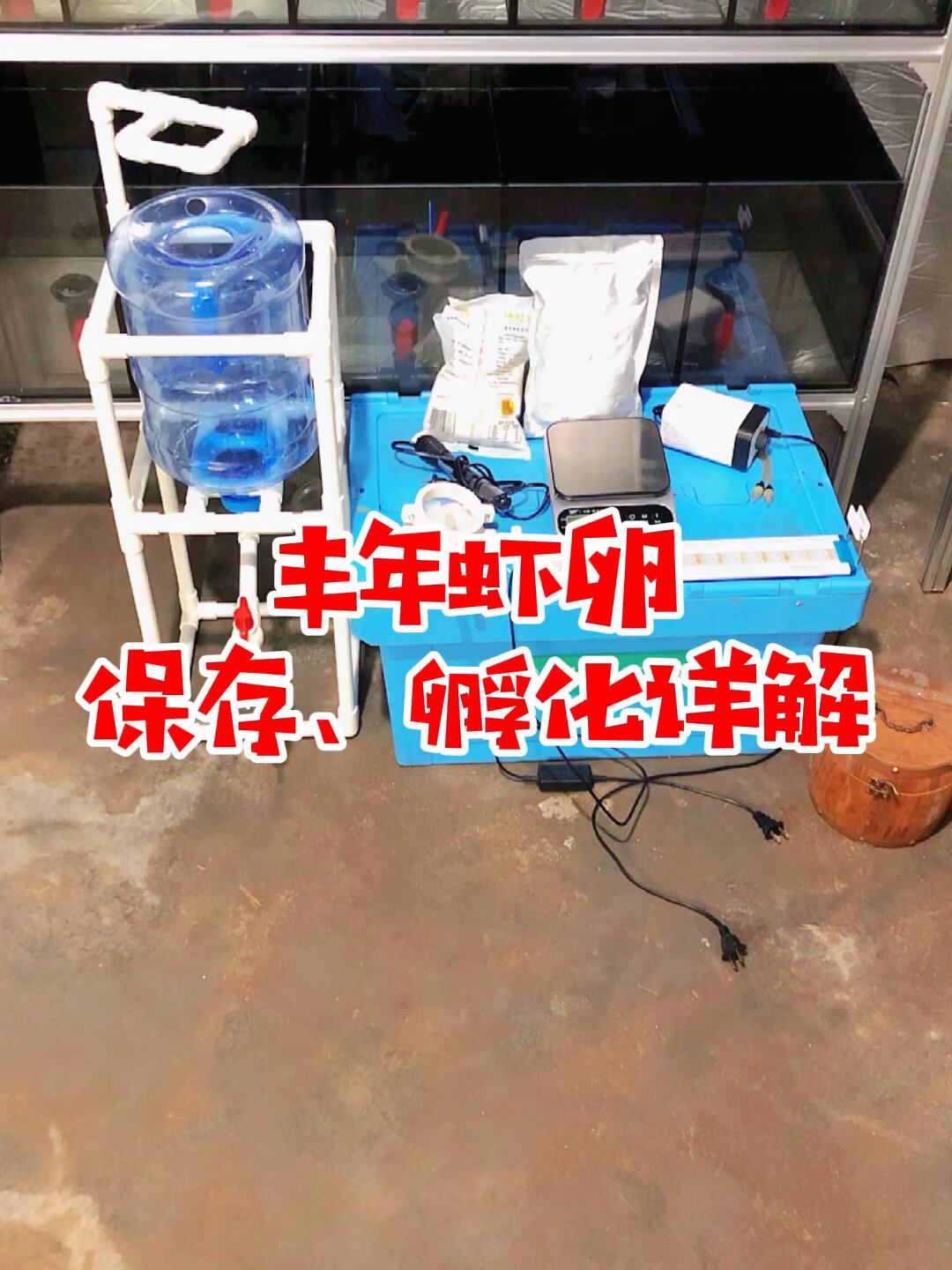 丰年虾卵保存孵化详解!