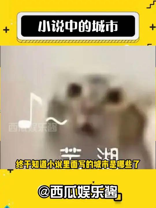 小说中的城市 娱乐评论大赏 有趣 小说中的城市 小说 搞笑