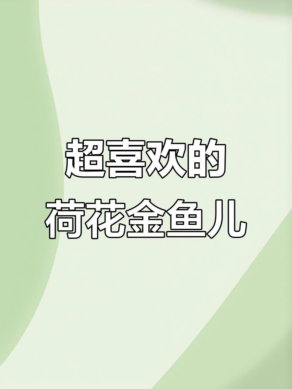 荷花金鱼纹路,超爱这种鱼!
