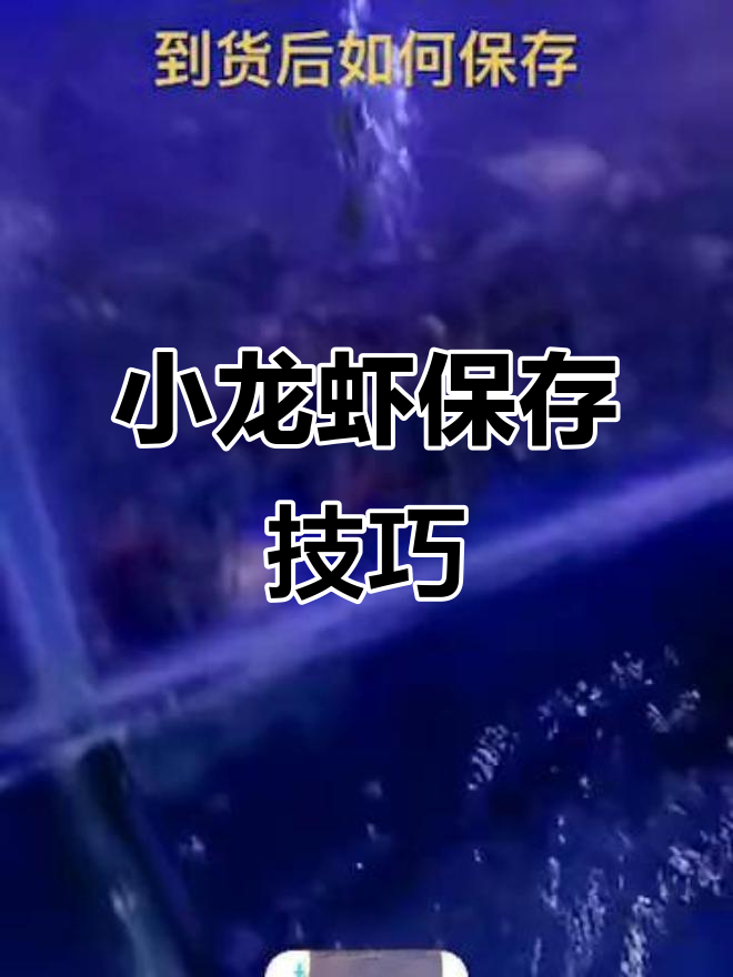 淡水澳洲小龙虾到货,如何保存小蓝龙?