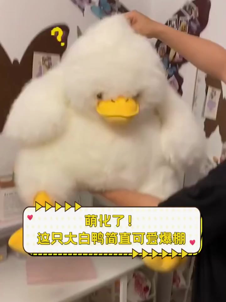 萌化了!这只大白鸭简直可爱爆棚