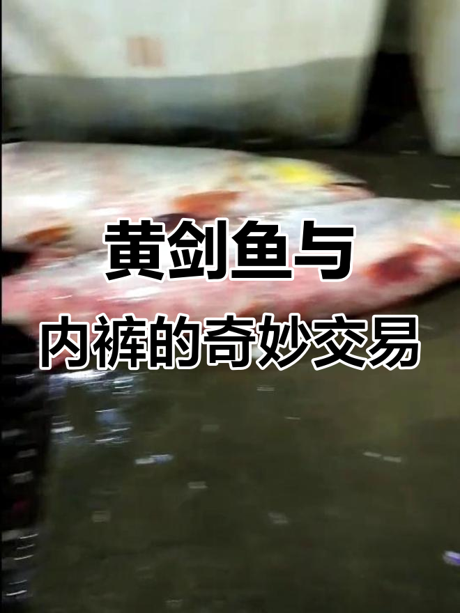 两条黄剑鱼,四千三百五十块,买包送内裤太值了