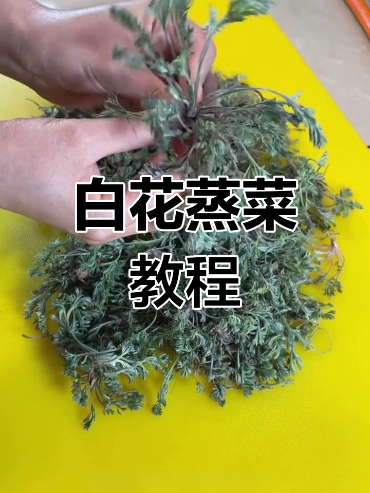 野菜蒸制新做法,轻松学做家常美味