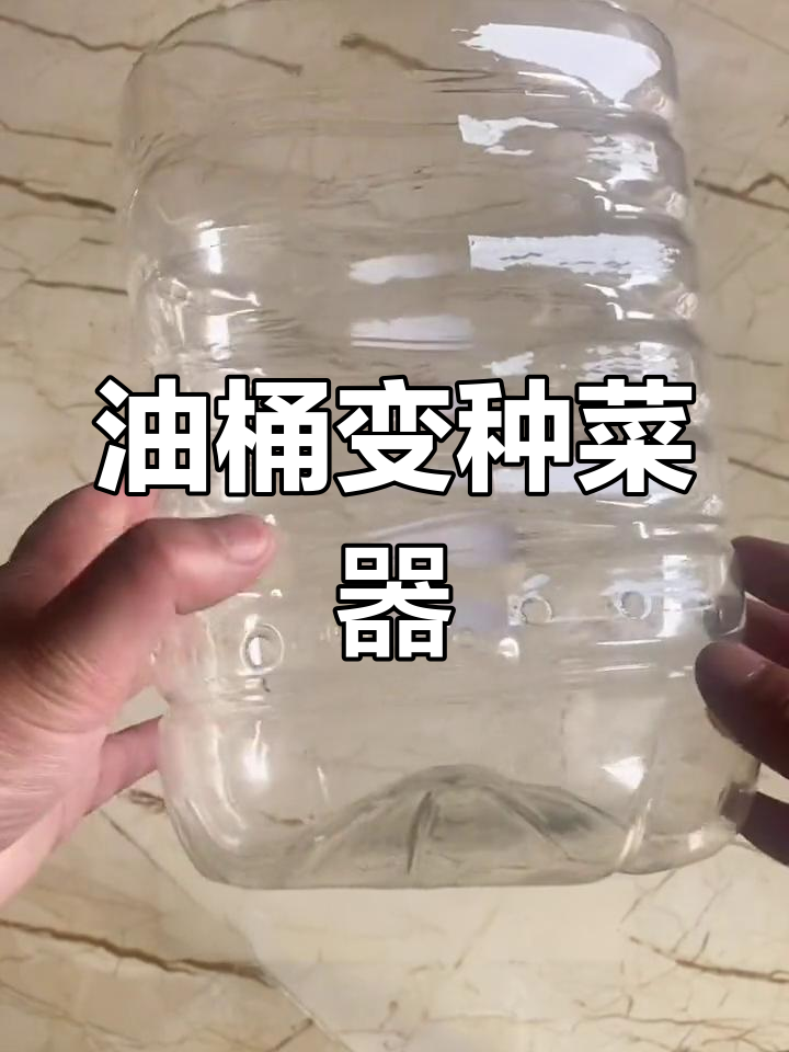 用废油桶DIY种菜神器,简单又实用