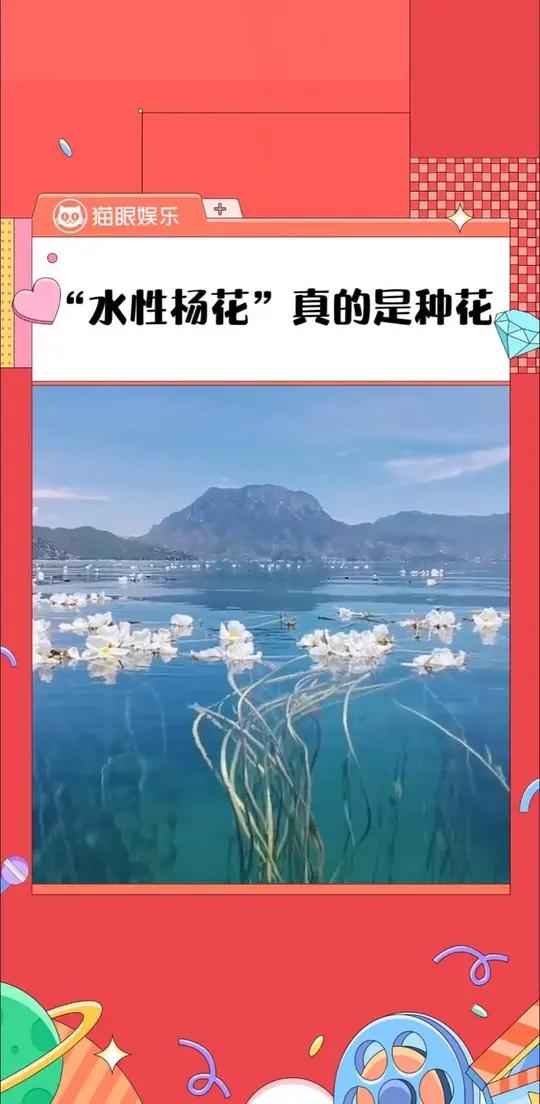 这么美的水性杨花,却变成了贬义词