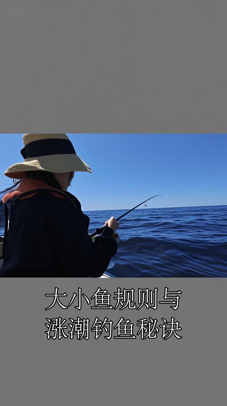 大小鱼规则与涨潮钓鱼秘诀