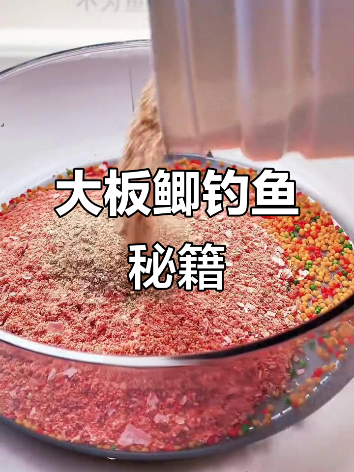 夏季钓大鲫，水母粉开饵，附钩力强，轻松避开小杂鱼