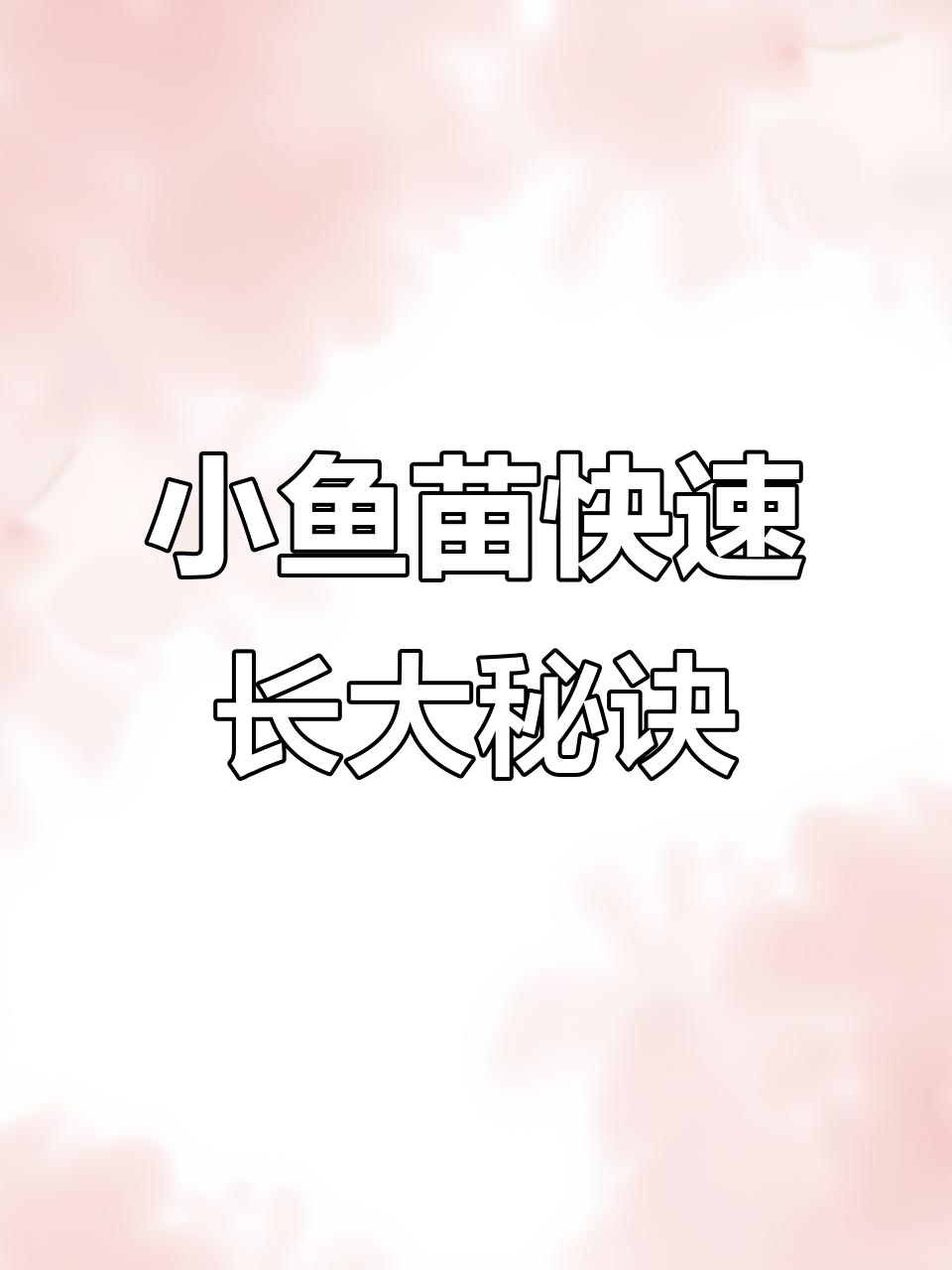 孔雀鱼宝宝长得快,秘诀就在这种冷冻丰年虾卵
