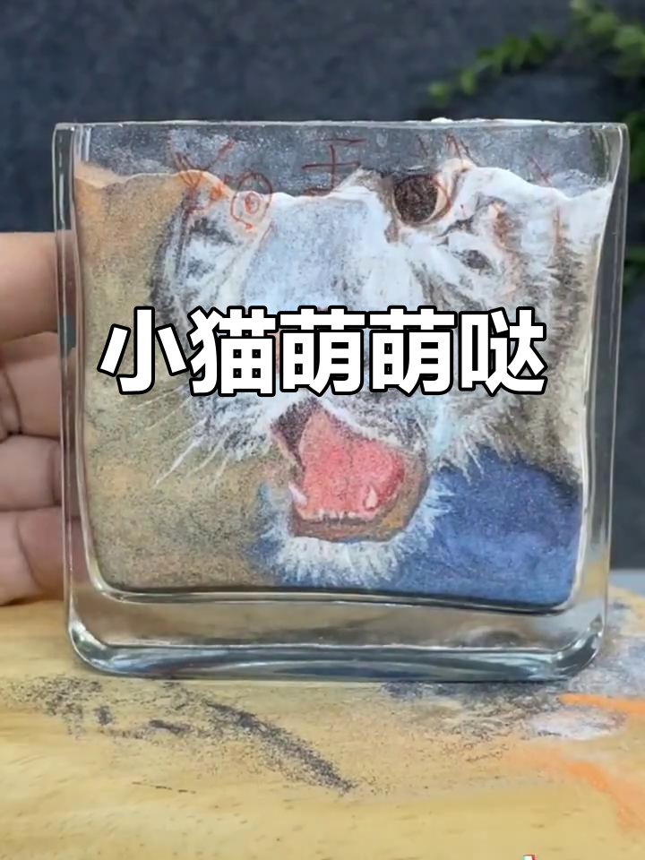 画了一只呆萌小猫,模样可爱又有点傻气