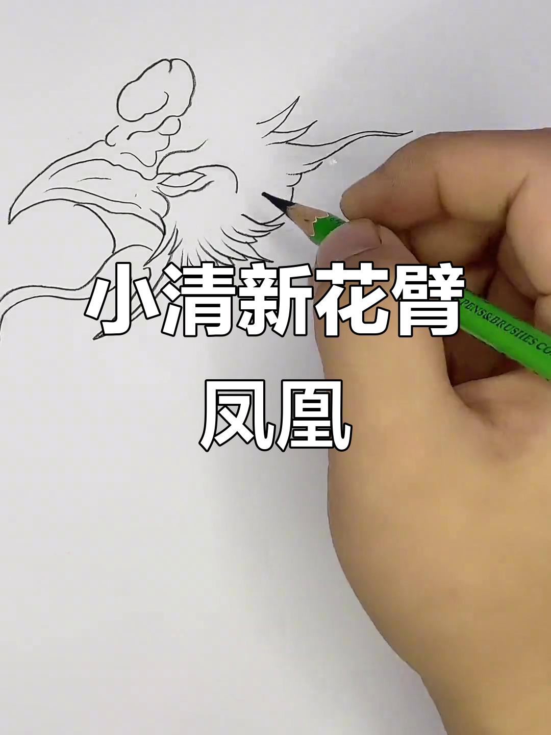 花臂凤凰纹身,敢挑战吗?小清新风格让你心动