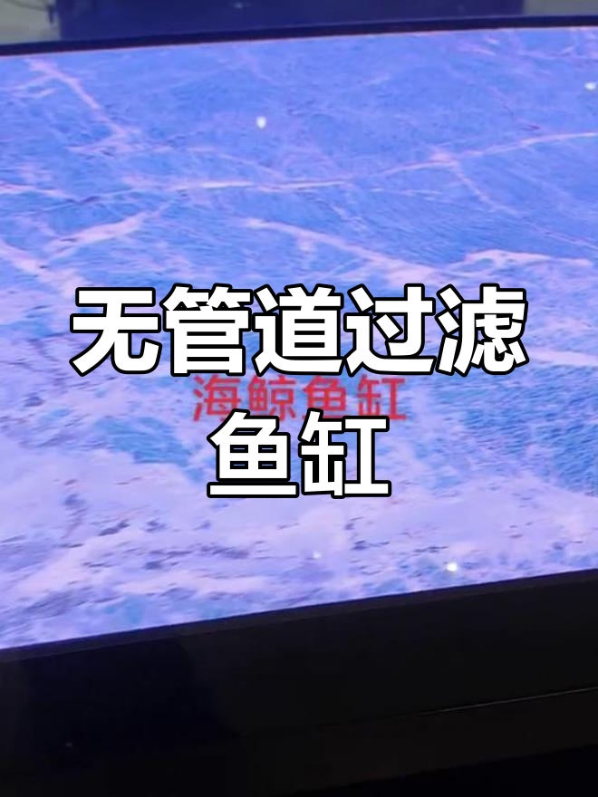 沈阳海鲸鱼缸无管道过滤系统,岩板底设计