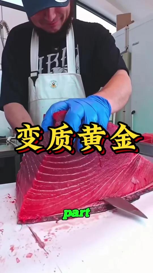 别扔!这块“变质”鱼肉竟值500美金?揭秘蓝鳍金枪鱼的顶级真相!