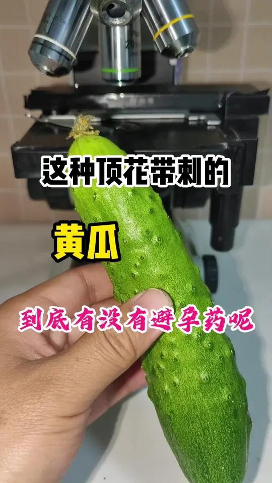 显微镜下的世界