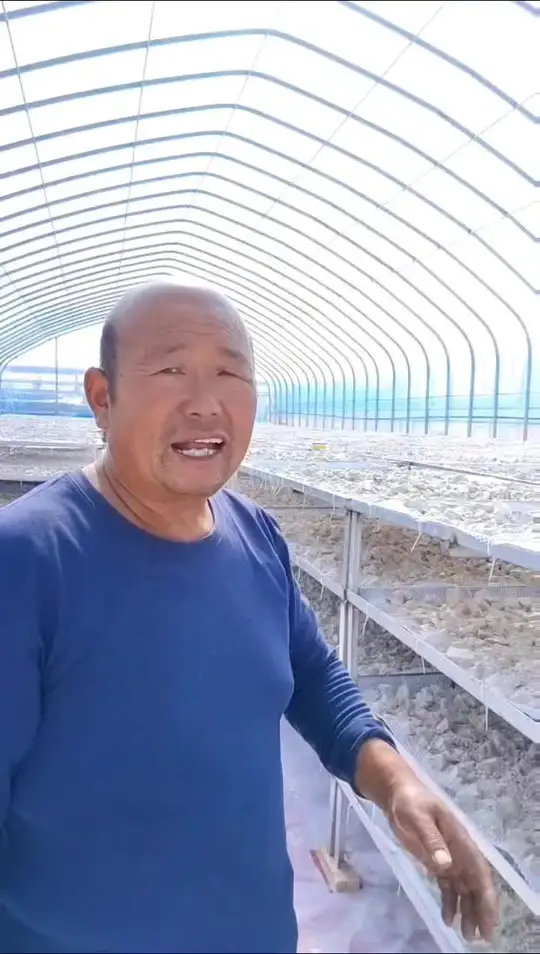晒出的红薯淀粉,回家用来炸鸡块炸鱼块超棒