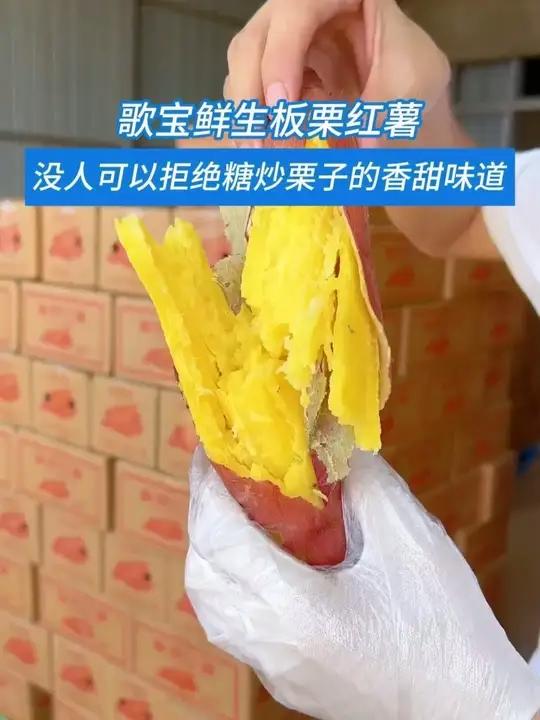 板栗味的 红薯 喜欢吃的姐姐一定不要错过,老人孩子都爱吃,没有哪个小朋友可以拒绝糖炒栗子的