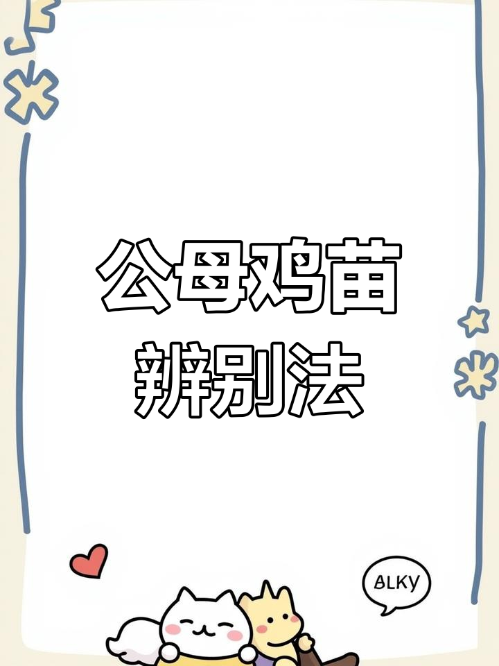 分辨公母鸡苗,简单方法一学就会