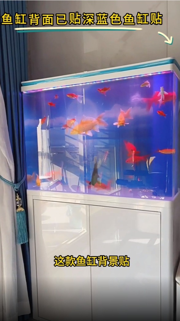 鱼缸背景贴纸缸外静电水族箱专用纯蓝色背景壁纸玻璃底部装饰贴膜