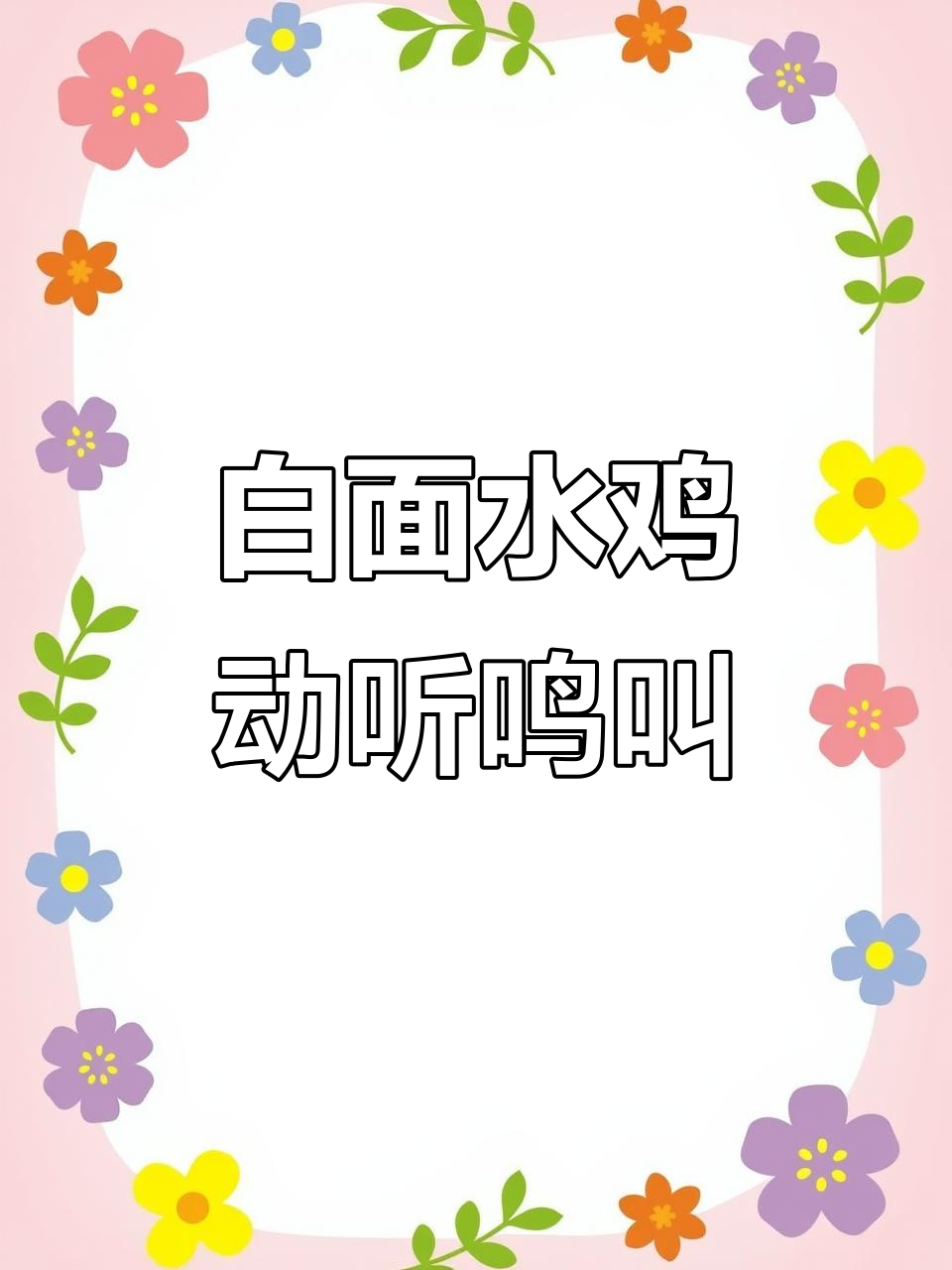 白面水鸡的美丽叫声,乡村生活的和谐音符