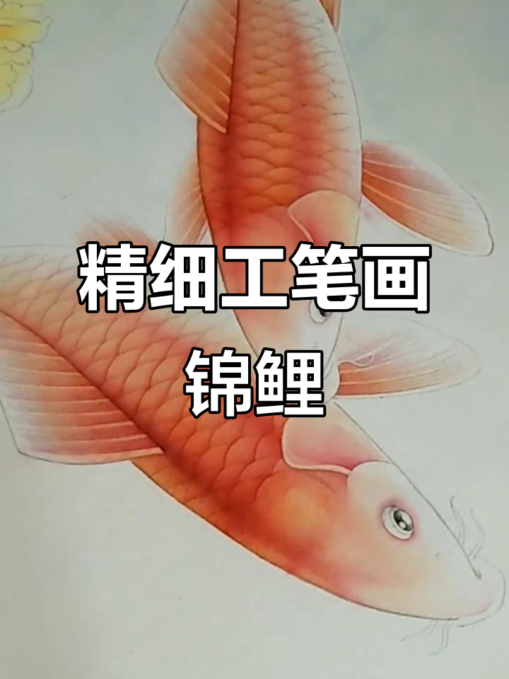 工笔锦鲤染色技巧,国画艺术之美