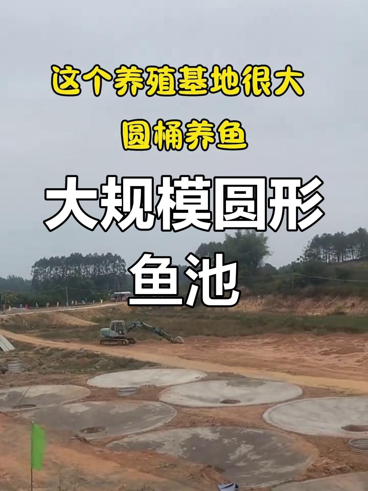 大型养殖基地揭秘:圆桶养鱼,设备齐全