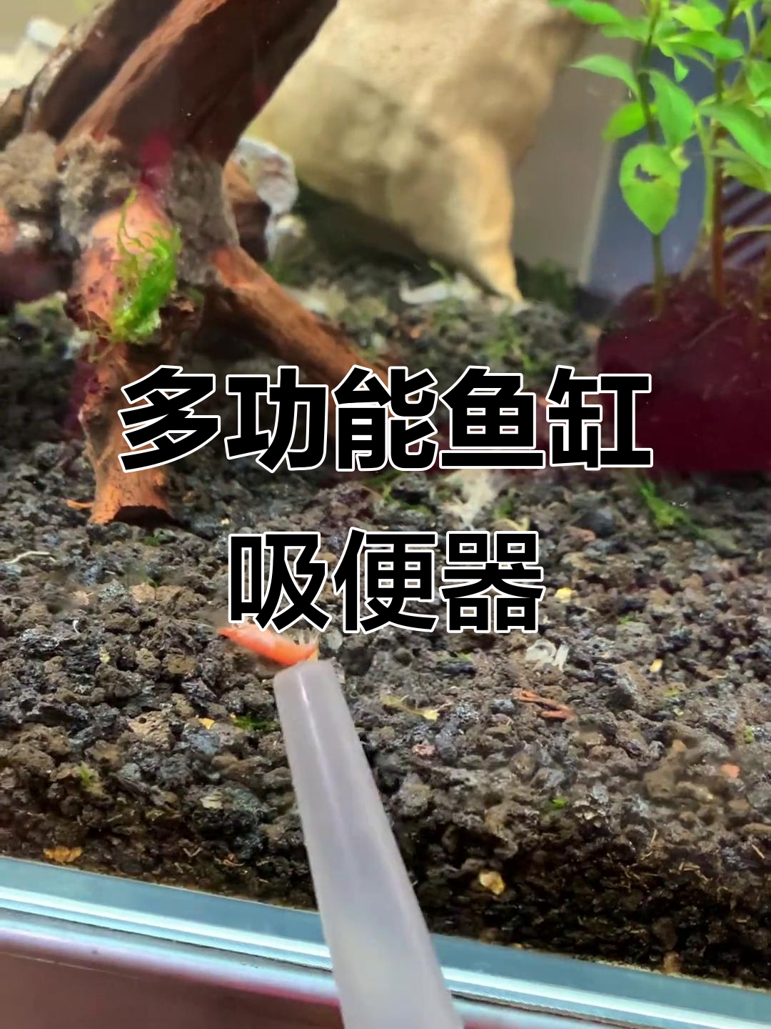 鱼缸吸便器，轻松清理虾壳、粪便和杂物