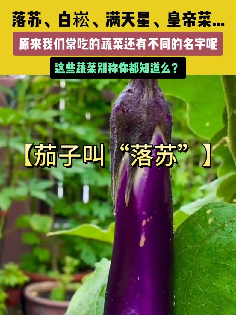 9 月 29 日,(发布)。落苏、白崧文、满天星、皇帝菜……原来我们常吃的蔬菜还有不同的名