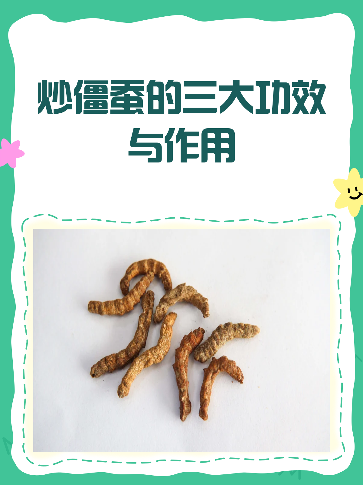 炒僵蚕，小小虫子大作用！