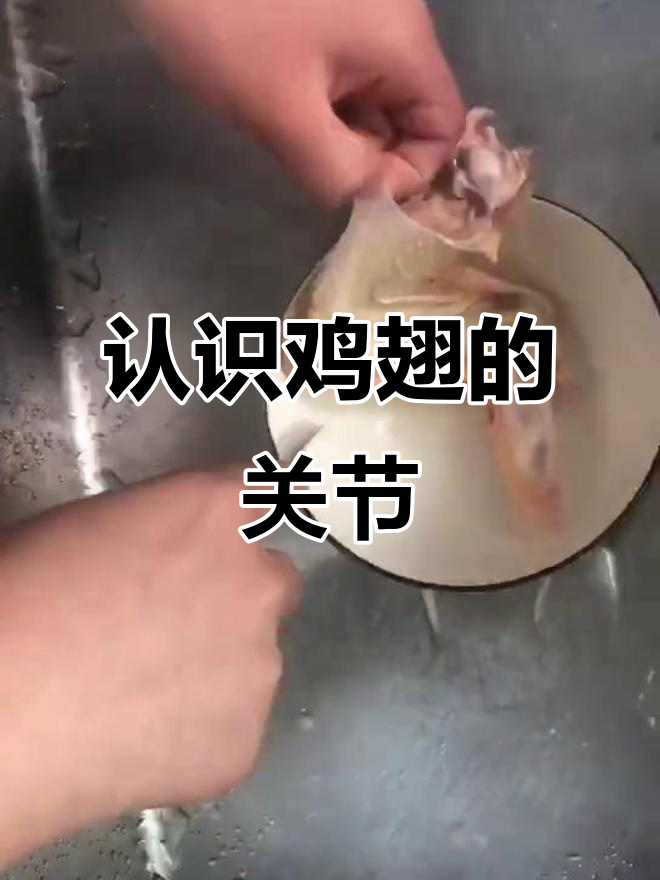 鸡翅解剖:关节结构与运动系统解析