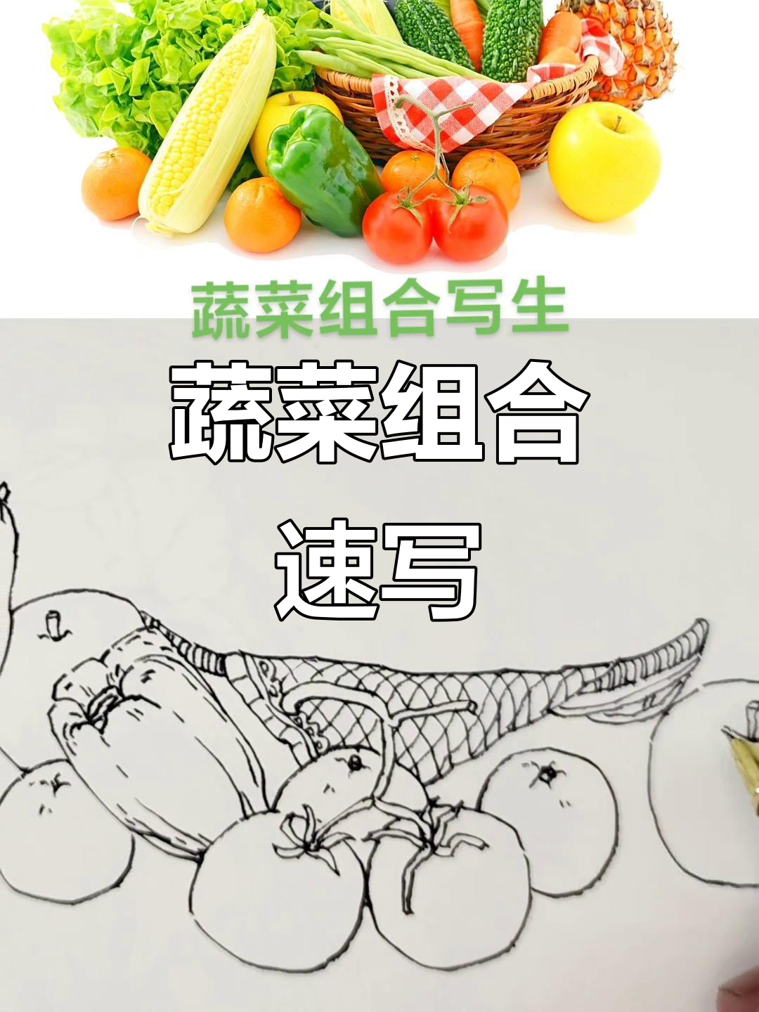 蔬菜静物钢笔画技巧,轻松掌握!