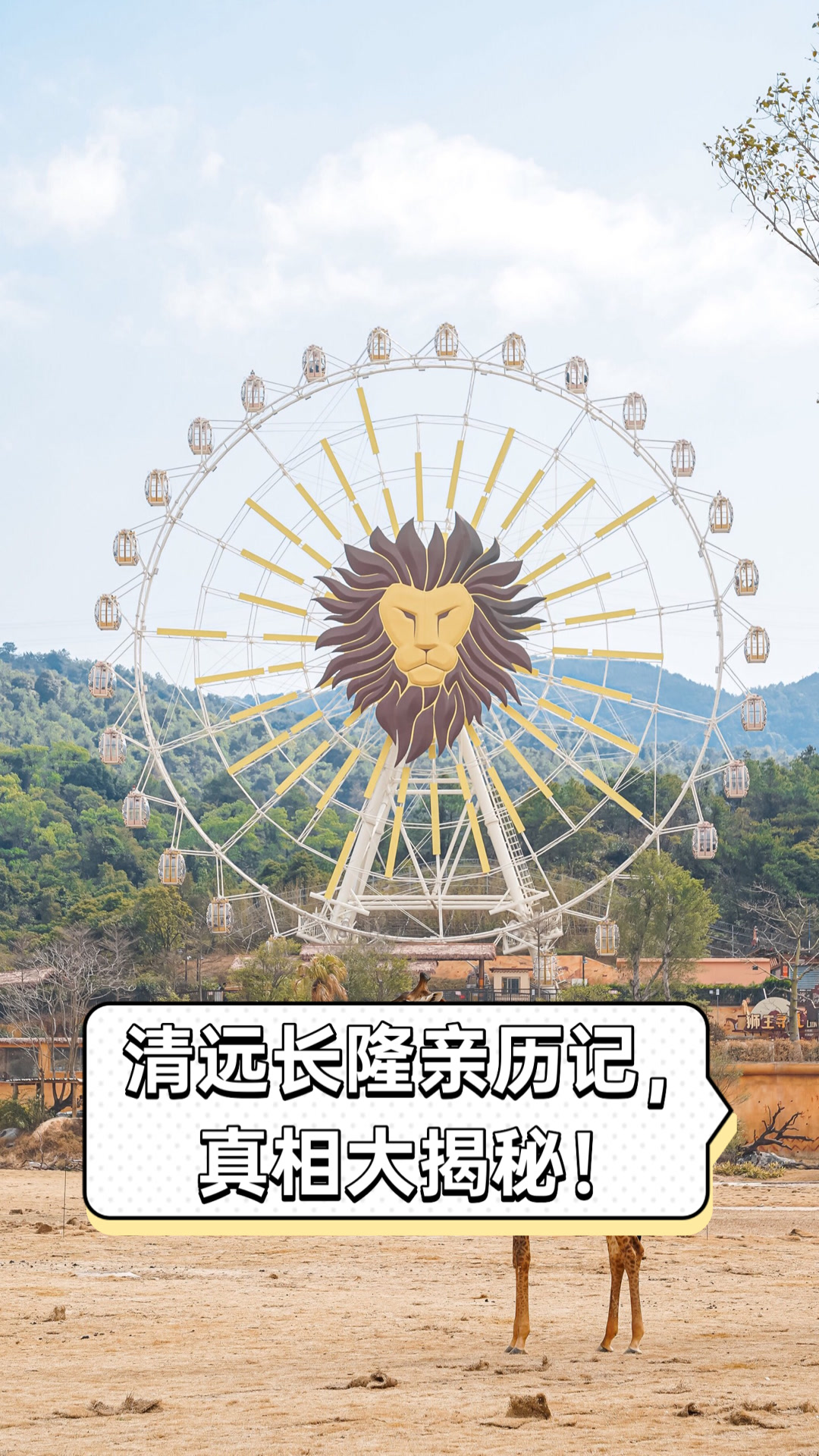 清远长隆亲历记,真相大揭秘!