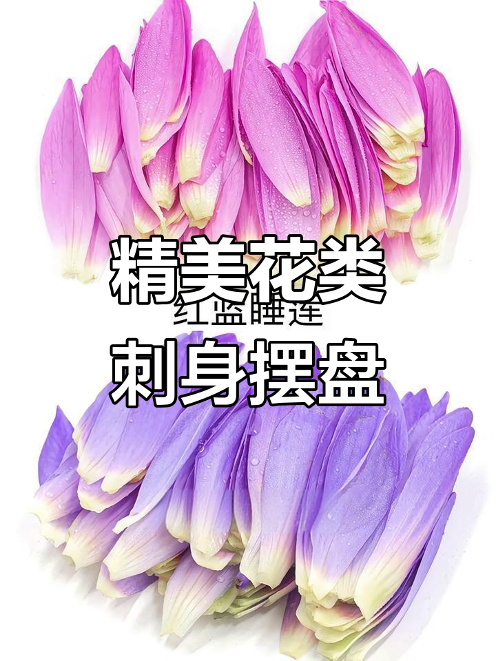 花样刺身摆盘技巧大揭秘，学会这些让你的菜品更诱人