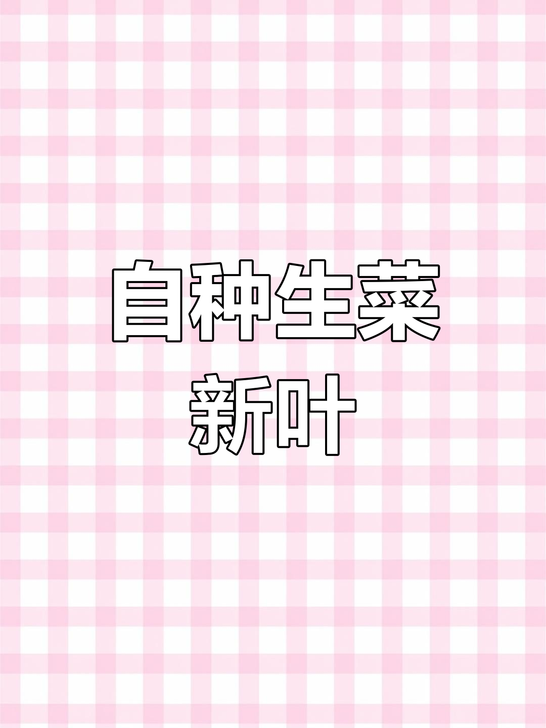 生菜根发芽,过几天就能吃上新鲜蔬菜了!