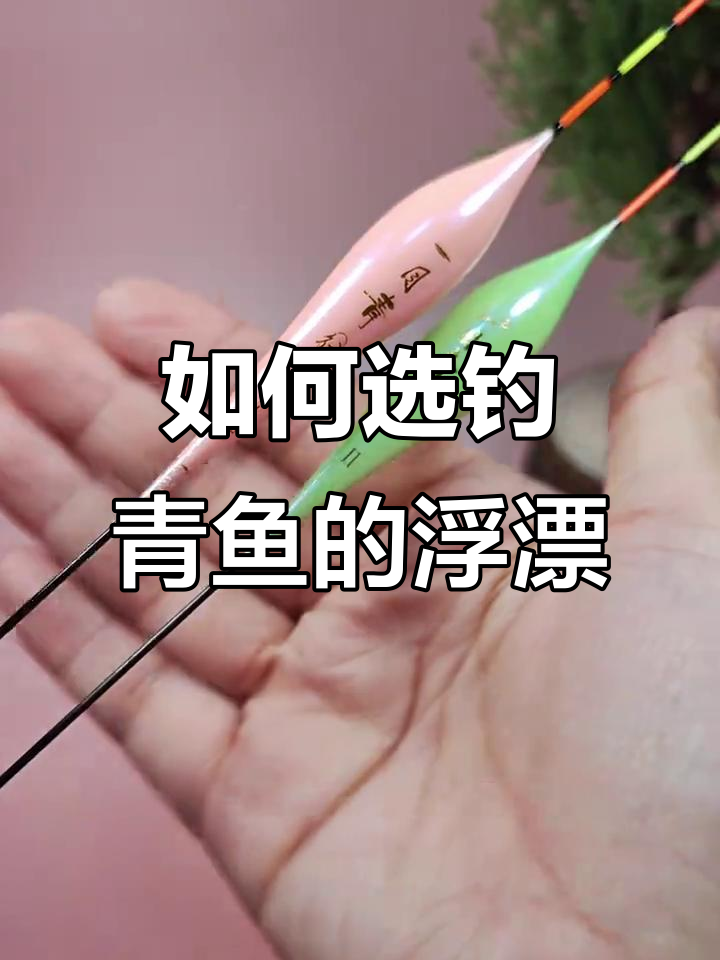 钓青鱼浮漂选择技巧:如何挑选行程慢、顿挫感强的漂子