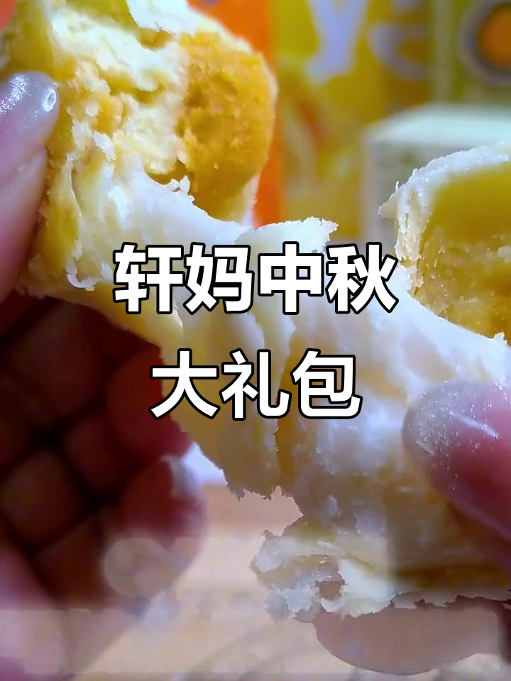 中秋必备!轩妈蛋黄酥大礼包,多种口味任你选