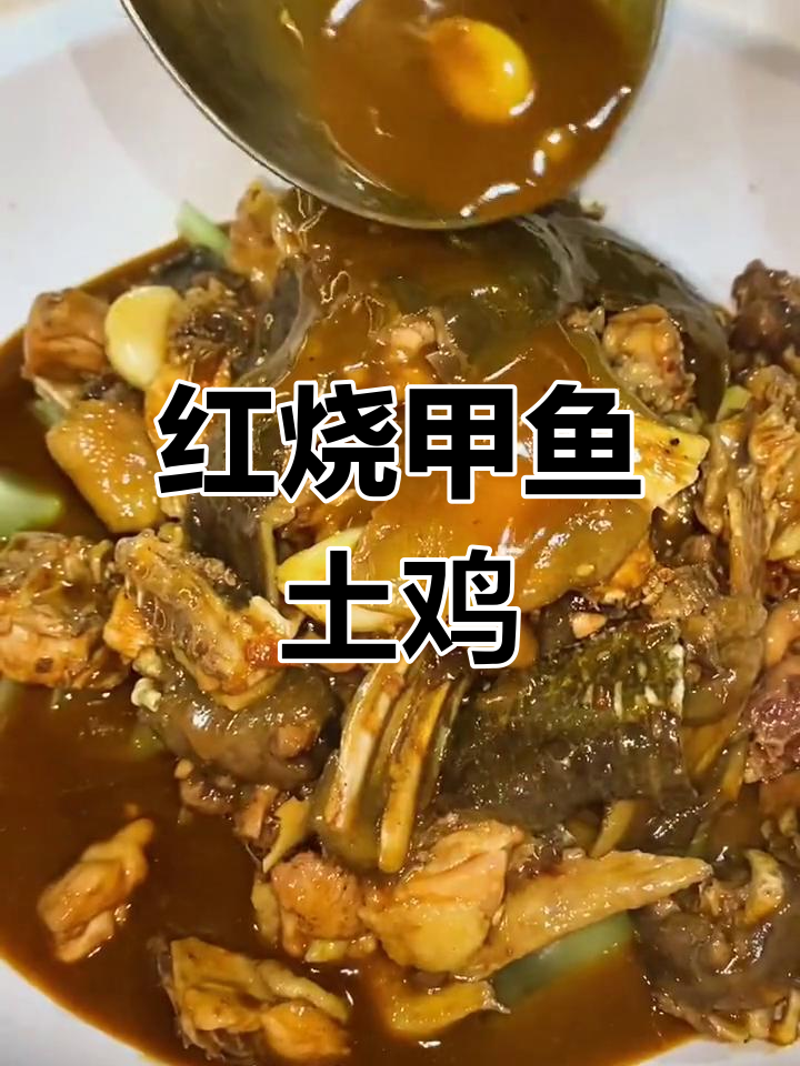 甲鱼与土鸡的红烧美味,营养丰富
